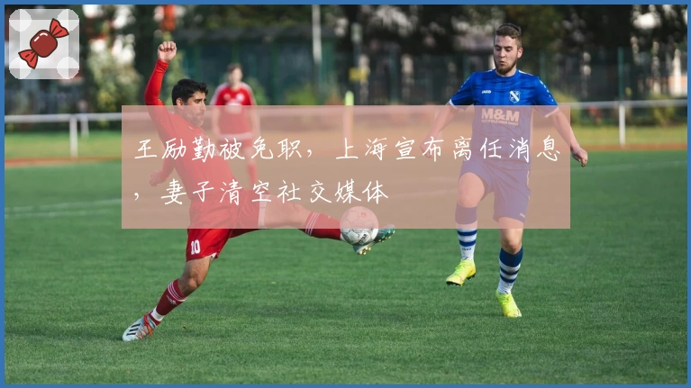 王励勤被免职，上海宣布离任消息，妻子清空社交媒体