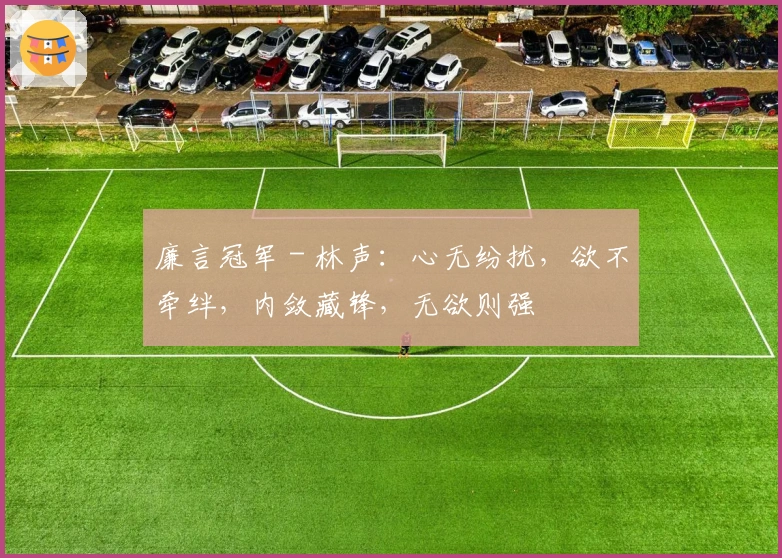 廉言冠军 - 林声：心无纷扰，欲不牵绊，内敛藏锋，无欲则强