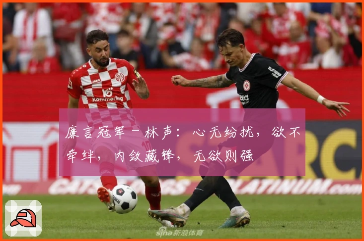 廉言冠军 - 林声：心无纷扰，欲不牵绊，内敛藏锋，无欲则强